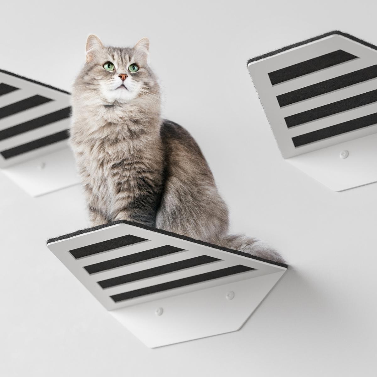 Wall Mounted Cat Perch metal shelves - EWART WOODS